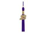 Matte Purple High School Cap & Tassel - Graduation Caps