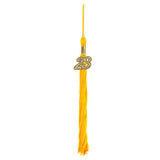 Shiny Gold Bachelors Cap & Gown - College & University