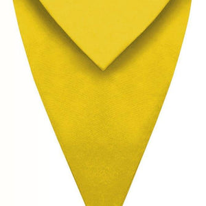 Gold Graduation V Stole - Graduation Attire