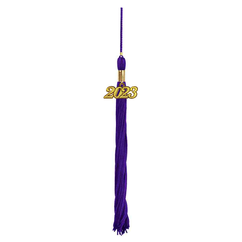 Matte Purple High School Graduation Cap and Gown