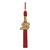 Shiny Red High School Graduation Cap & Gown
